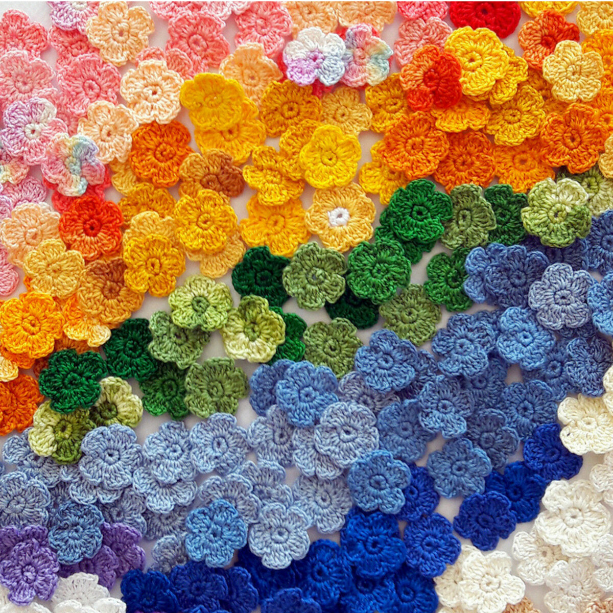 Фото цветов из личного архива