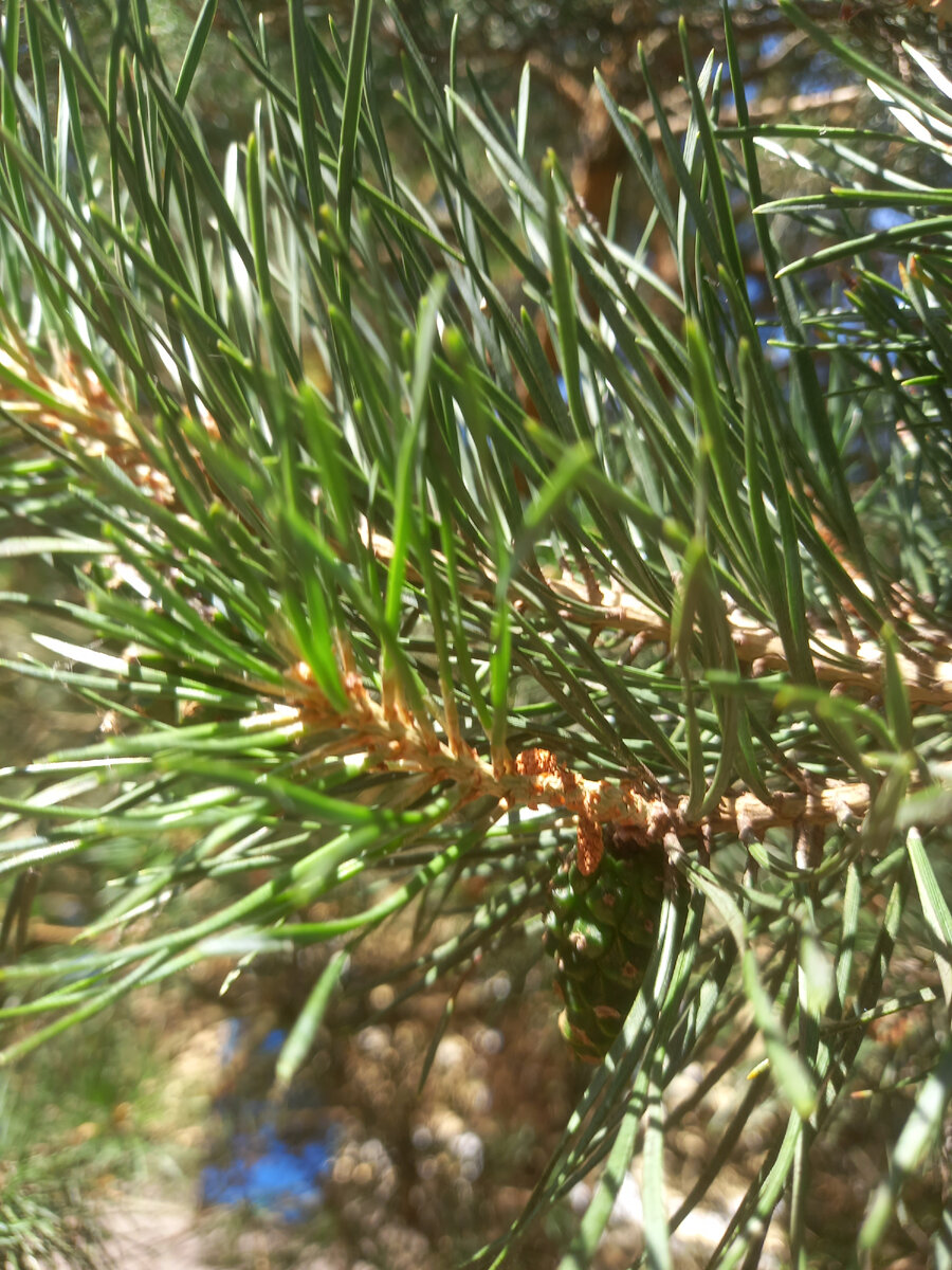 Фото автора канала