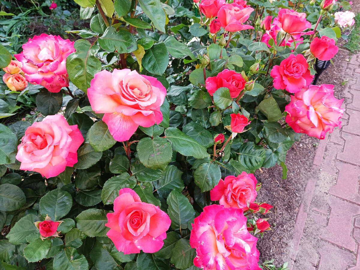 Христофор Колумб, 2023