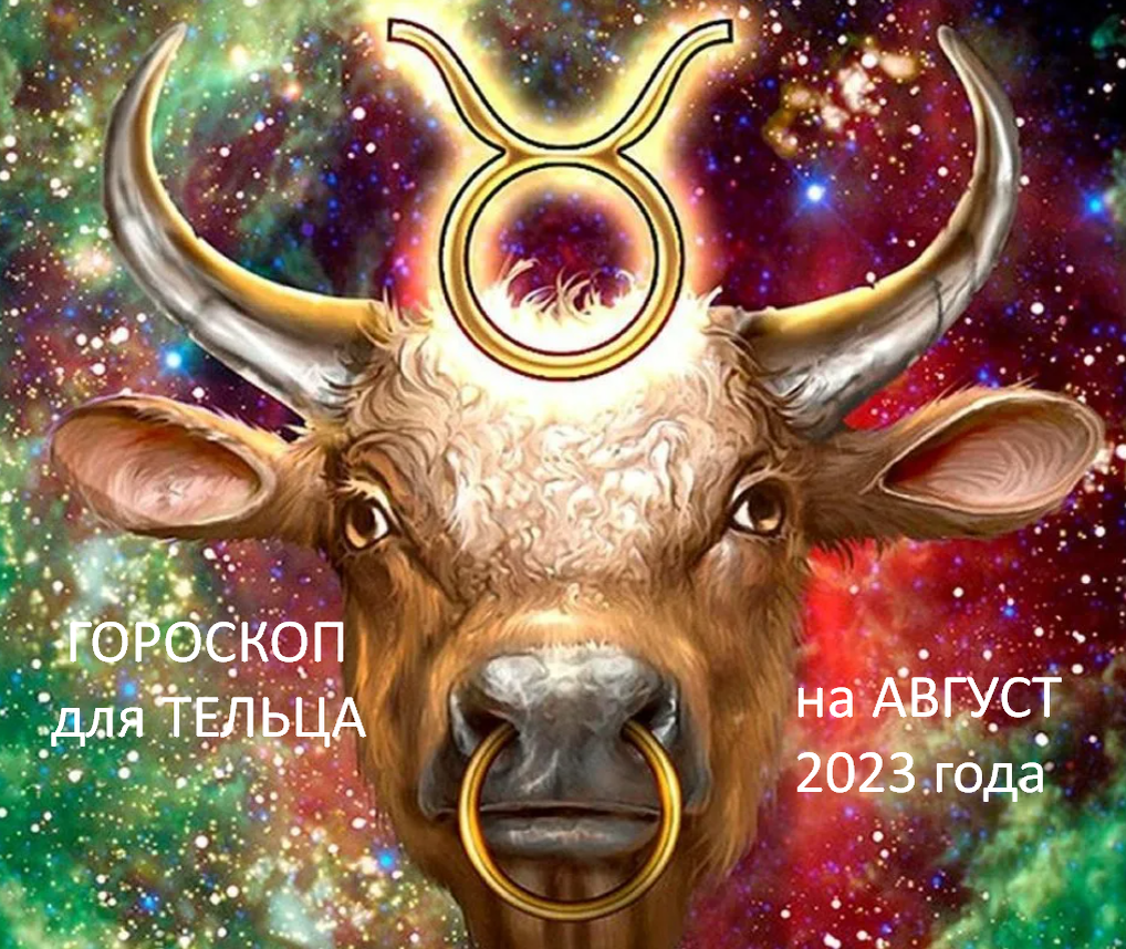 Фото из открытого источника 