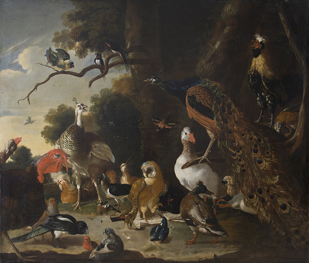 «Птичий концерт», Мельхиор де Хондекутер