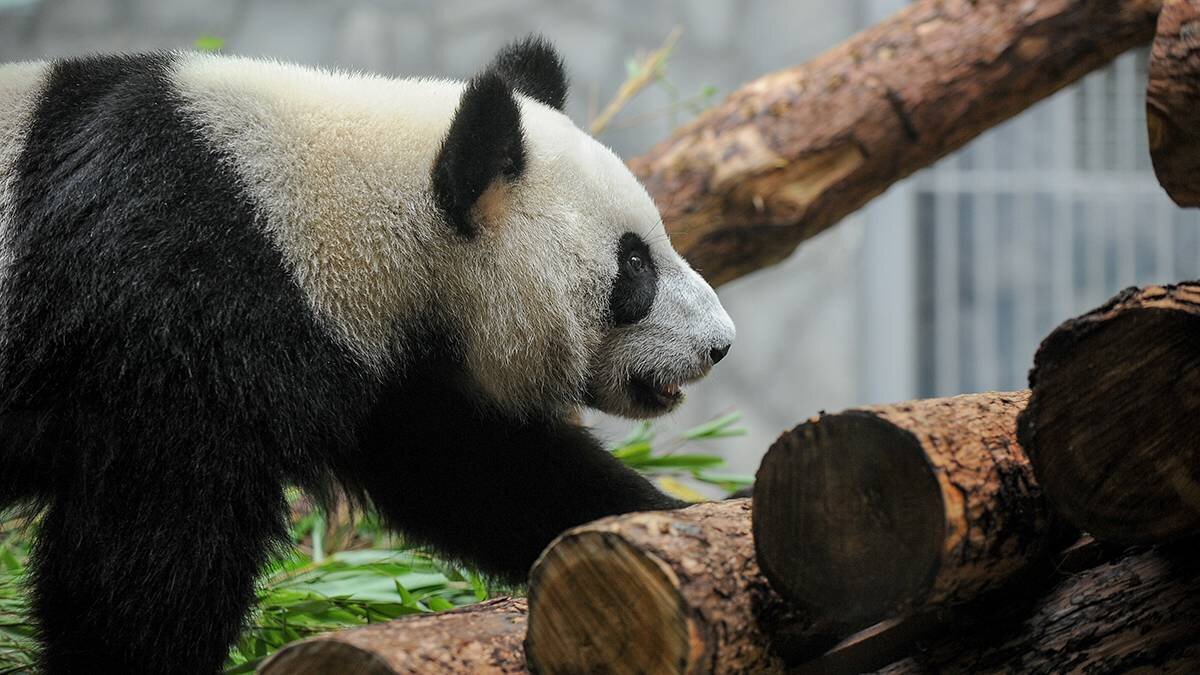    Фото: Александр Авилов / АГН Москва