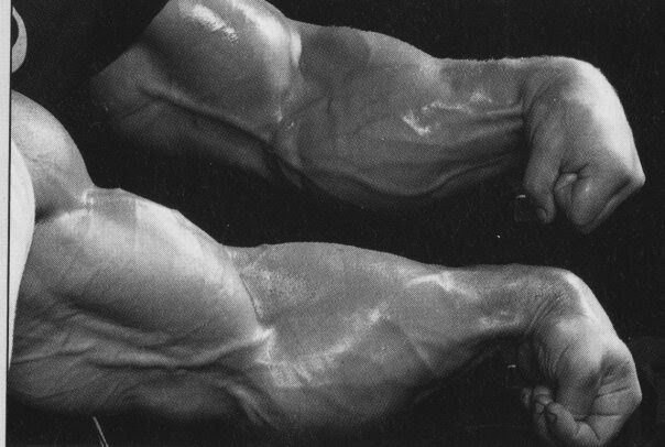 Вот как они выглядили !!!!