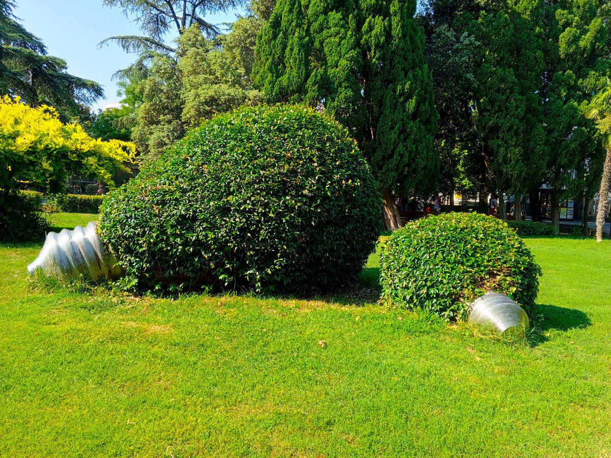 фото автора. Лампочки в зелени