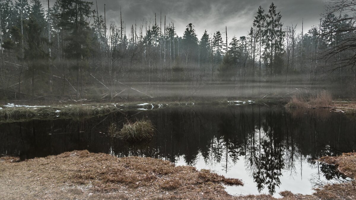     Случаи заболевания лихорадкой Западного Нила зафиксированы в трех муниципалитетах Ростовской области, сообщили в Роспотребнадзоре.