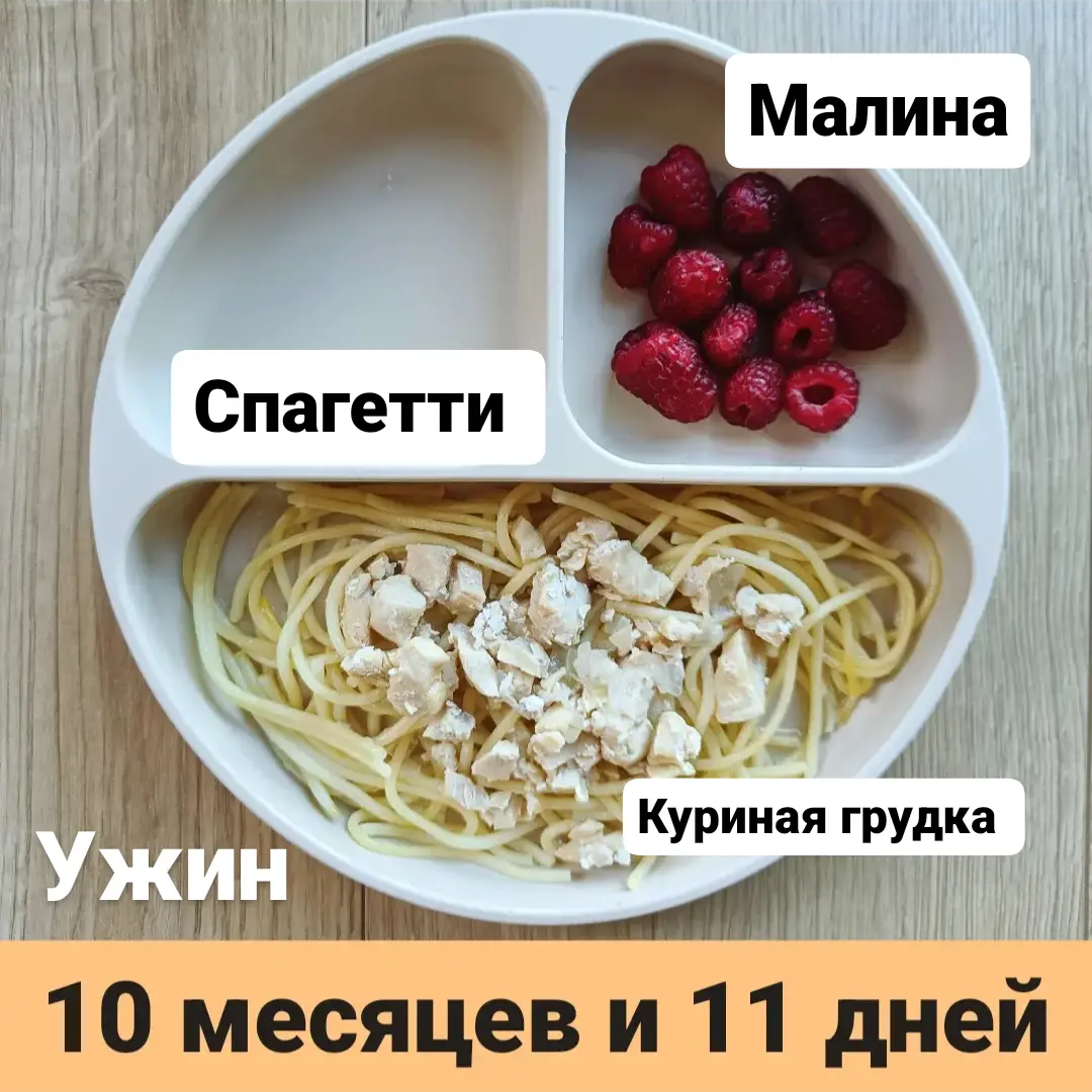 Пример тарелки в 10 месяцев 