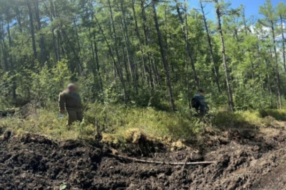    Забайкалец незаконно проложил дорогу в лесу и получил уголовное дело