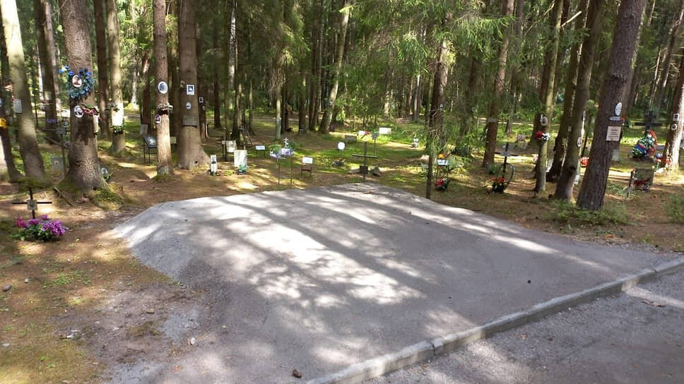     Фото: Анатолий Разумов / страница Галины Артеменко в соцсети