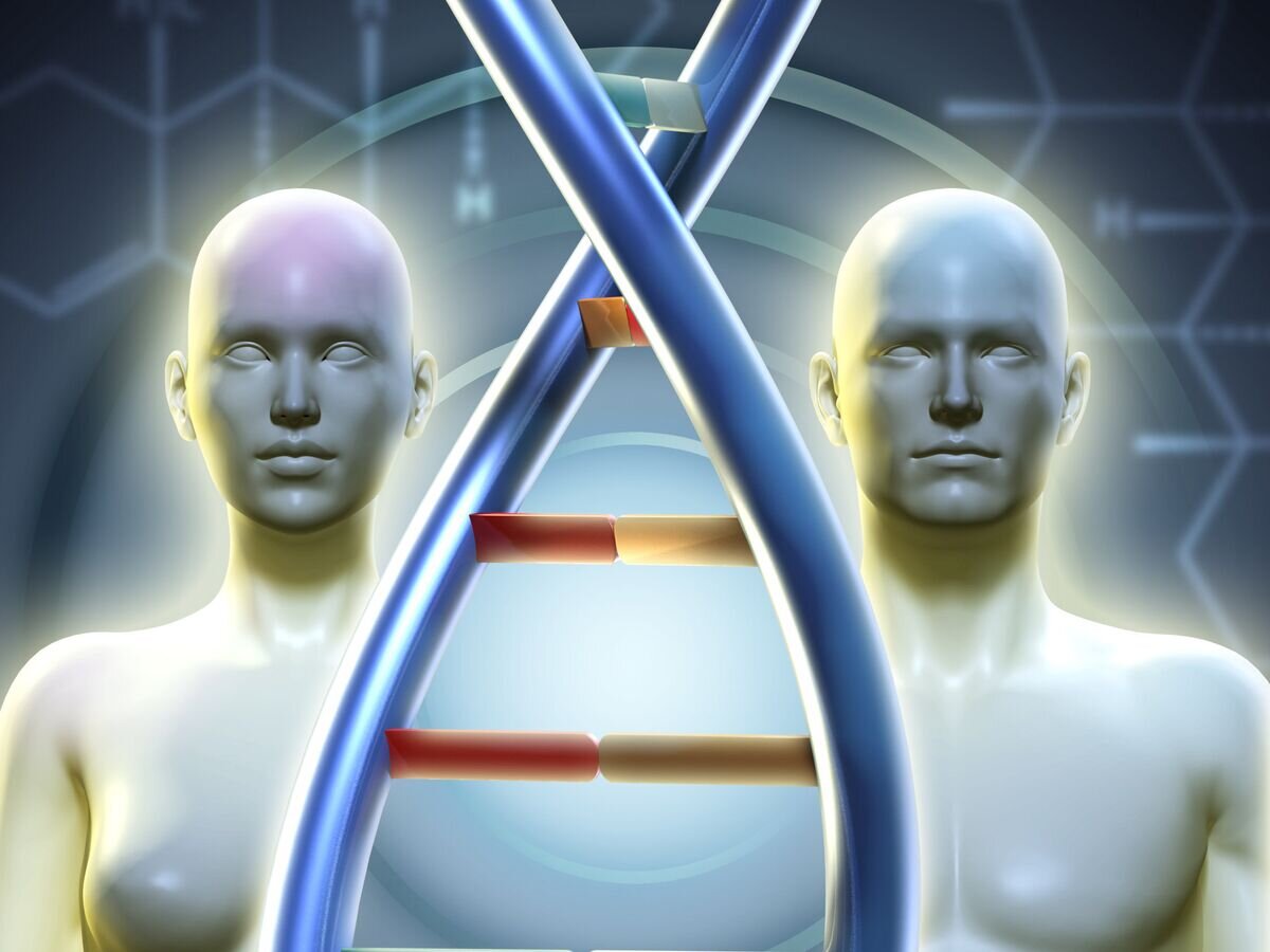 Генетика практика. Генетика в медицине. Гены человека. ДНК человека. ДНК мужчины и женщины.