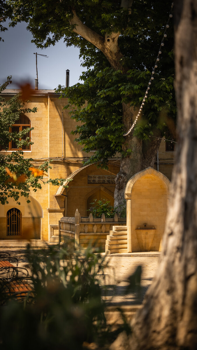 Гео: Дагестан, RU | Фото: Горожанин Кирилл
