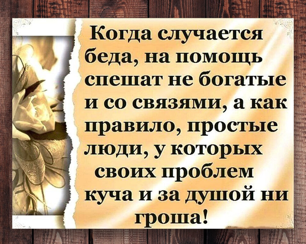 Драка в автобусе. Дедушка спас кондукторшу от наркомана. Иногда чудеса —  это просто хорошие люди с добрым сердцем | Степан Корольков~Хранитель маяка  | Дзен