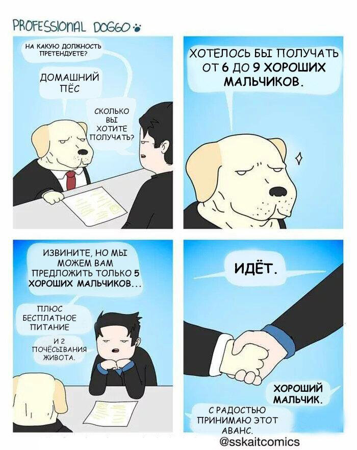Хороший мальчик собака мем
