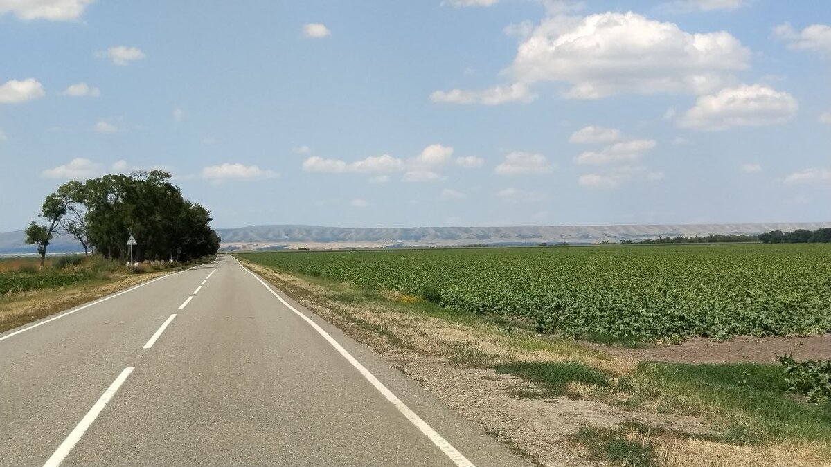 Вид на выезде из хутора