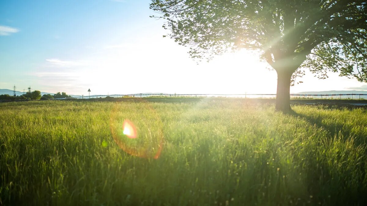 Мощные геоудары могут сокрушить магнитосферу за пару часов. Фото: pxhere.com