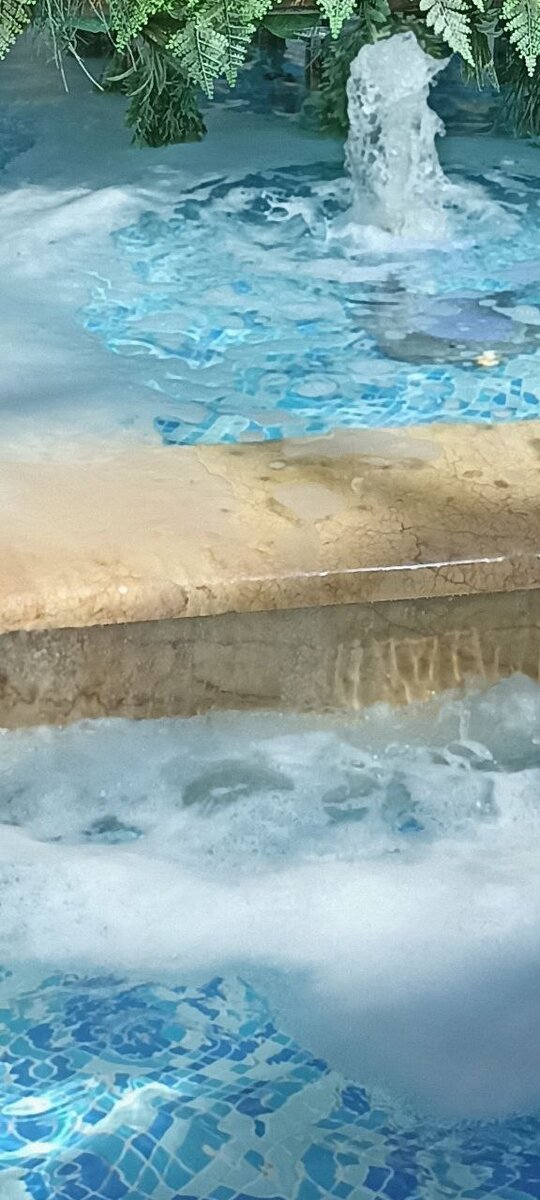 летом у воды любят сидеть не только люди, собаки тоже стремяться к охлаждающей прохладе