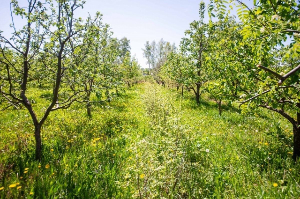    Тульские специалисты рассказали про «Захарьинский лесостепной комплекс»
