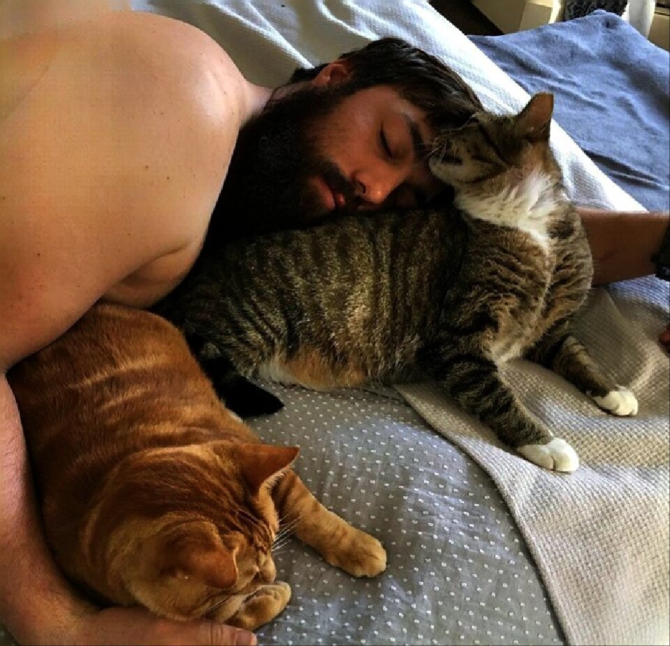 Мужчина любящий кошку. Мужик с котом. Мужчина женщина и кот. Кошка и хозяин. Фотосессия с мужем и котом.