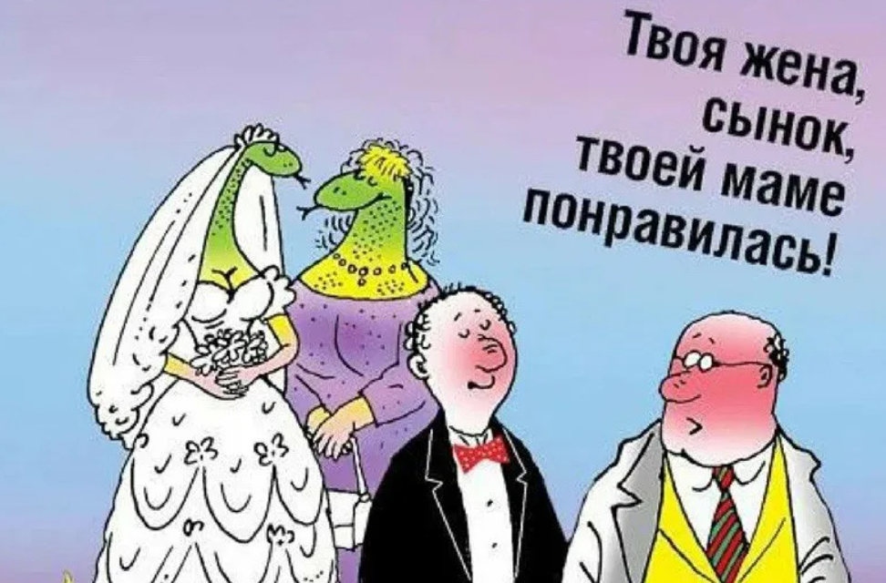 Сноха глазами свекрови. С днем свадьбы карикатуры. Анекдоты про свадьбу в картинках. Карикатура на свадьбу смешные. Свадьба прикол