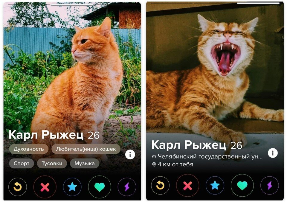   В профиле несколько фото. Фото: Tinder