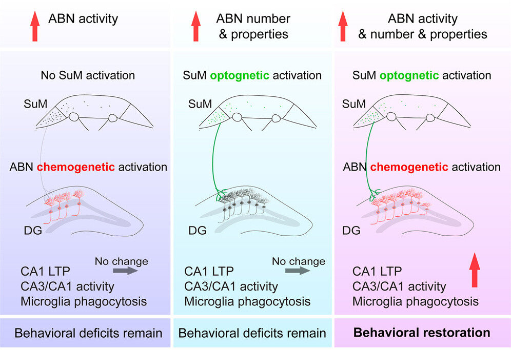   Ya-Dong Li et al. / Cell Stem Cell, 2023