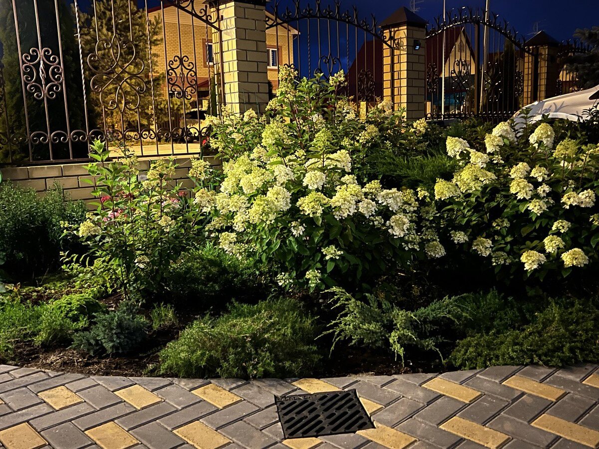 Фото при вечернем освещении