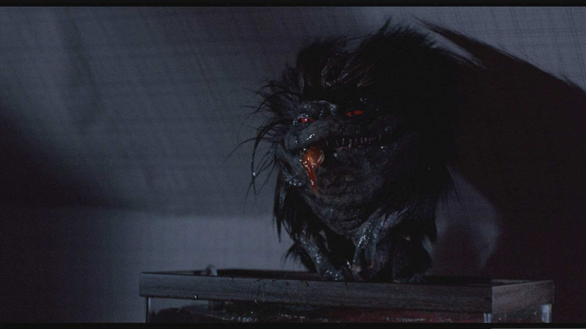 Кадр из фильма «Зубастики» / The Critters, 1986, Sho Films