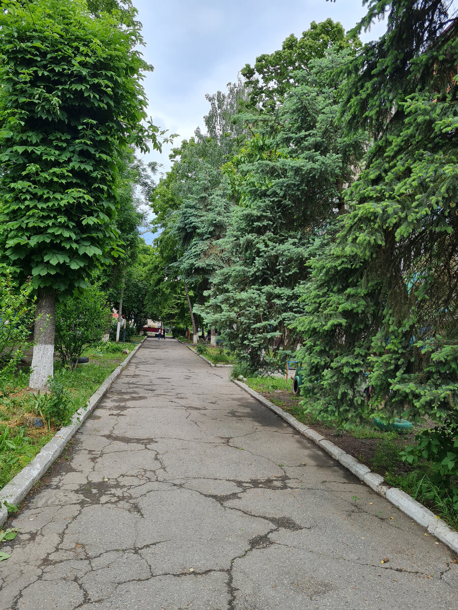 Любимый двор