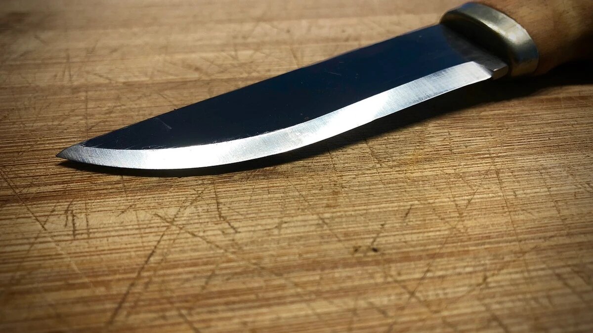 Фото: pixabay.com