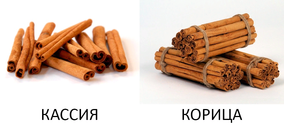 Как выглядит настоящая палочка корицы