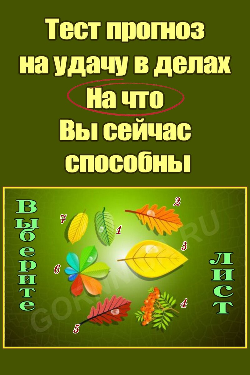    Тест прогноз на удачу в делах — На что вы сейчас способны Pavlov A