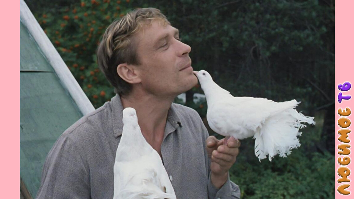 Александр Михайлов в фильме «Любовь и голуби» 