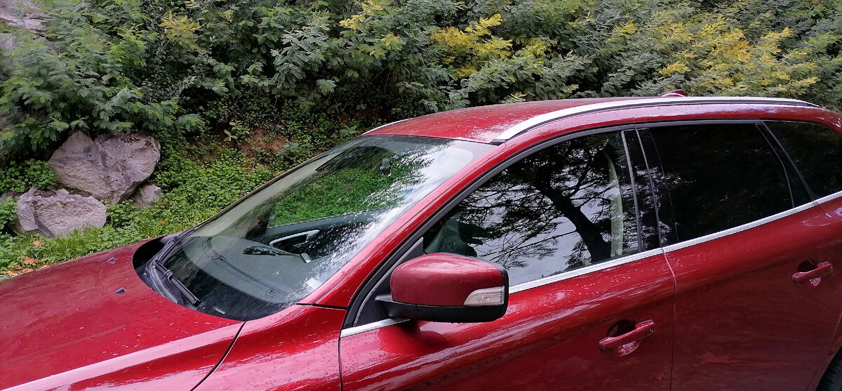 Моя ласточка