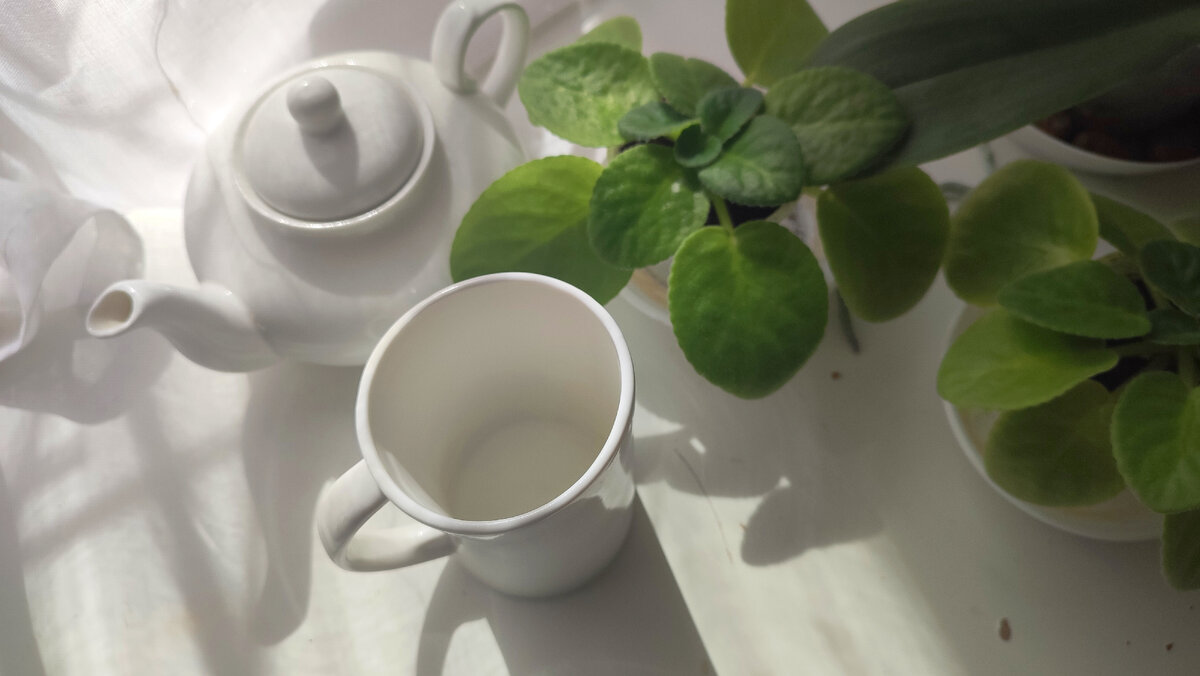 Пасхальное утро. Ничего не предвещало.