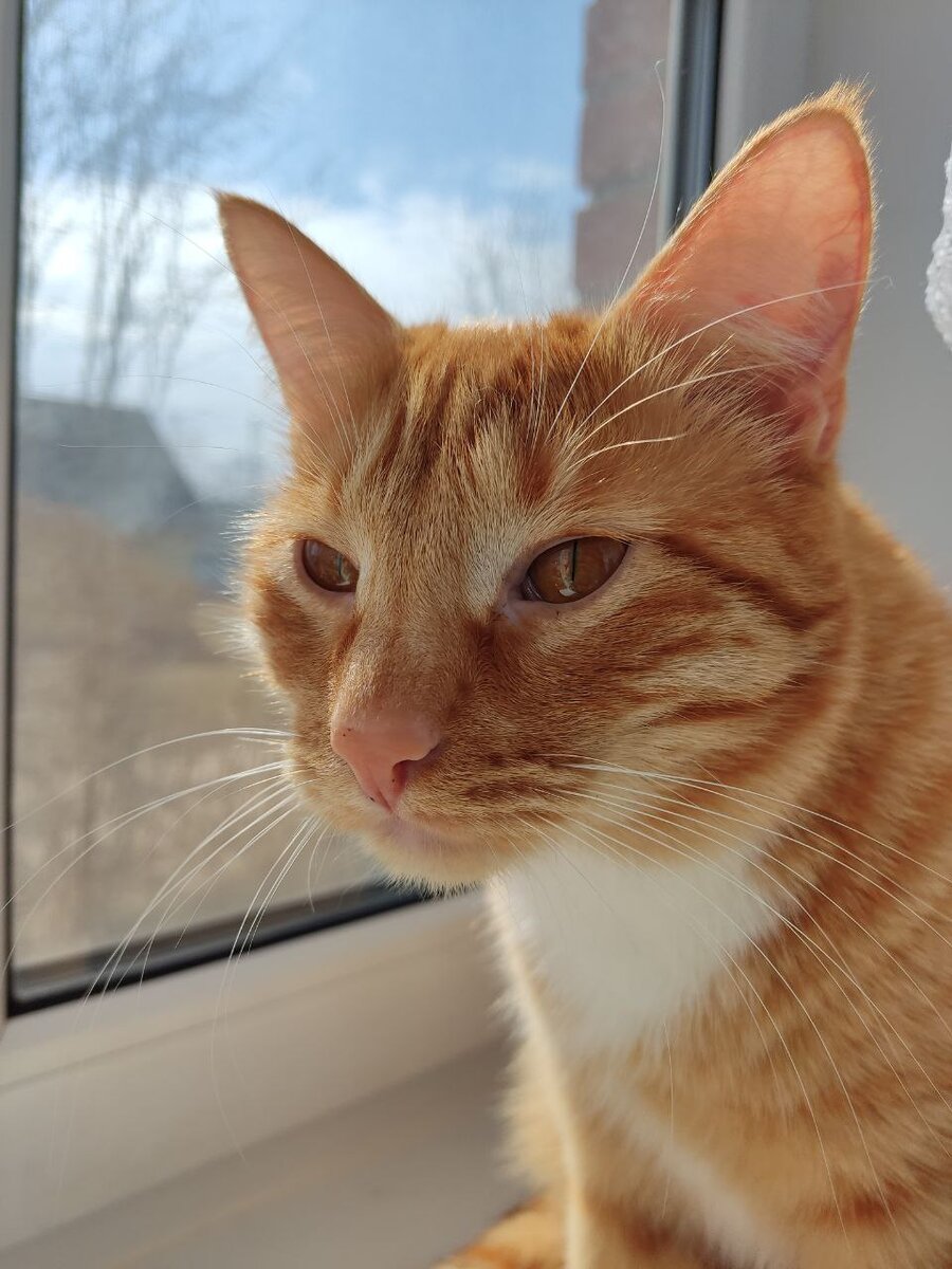 Опытный инструктор ОБЖ