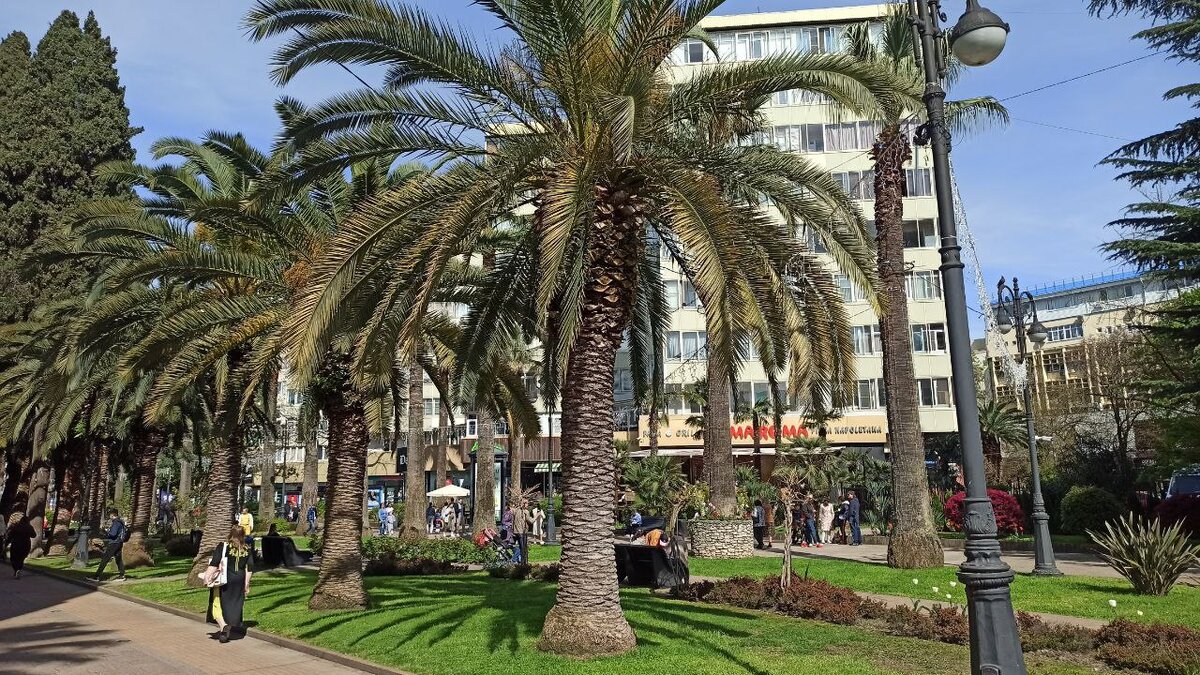 Центральная улица Сочи