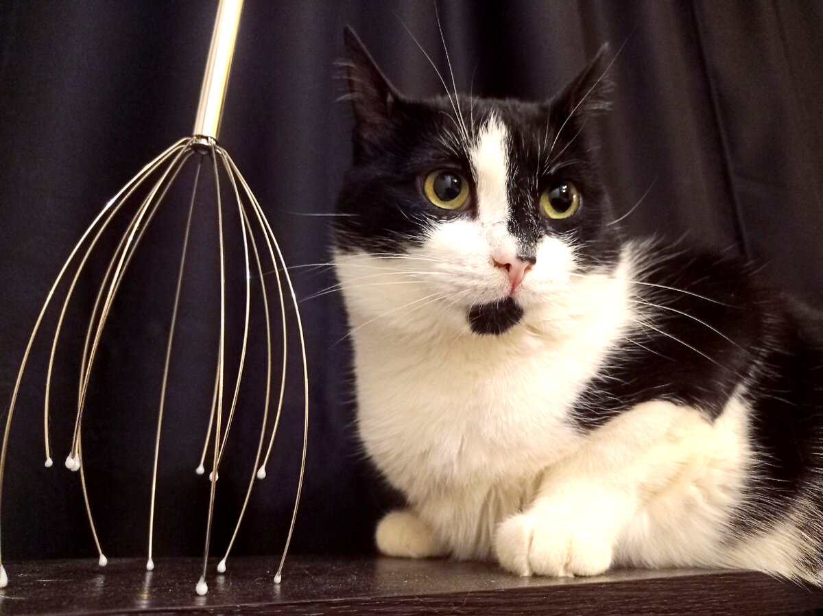 У Геральта тоже есть пузо. А ещё загадочная штука, с которой он любит драться