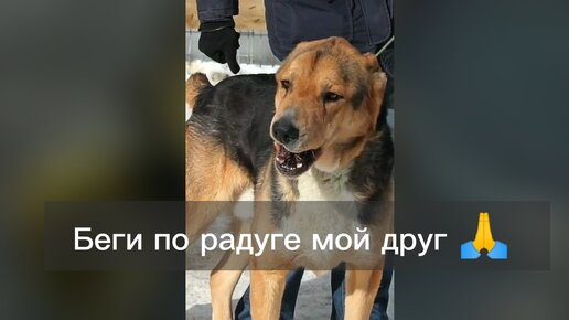 Беги по радуге мой друг 🙏