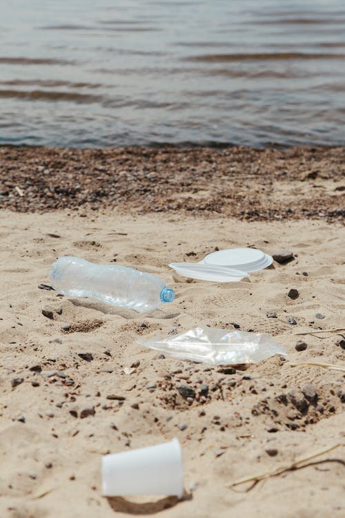 фото из открытых источников, все права у авторов