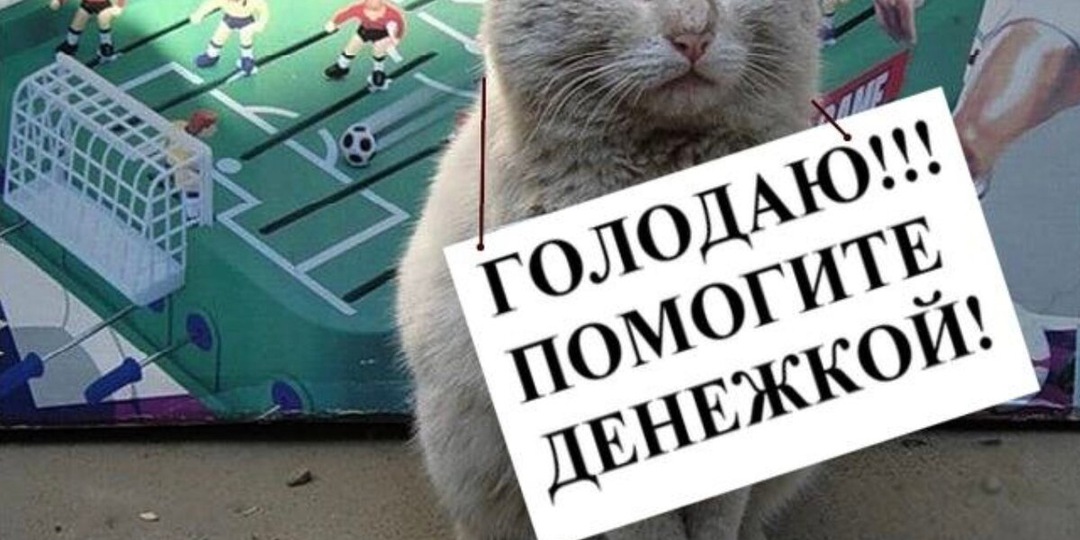 Девочка просила деньги на еду, но когда мы предложили ей еду, она отказалась