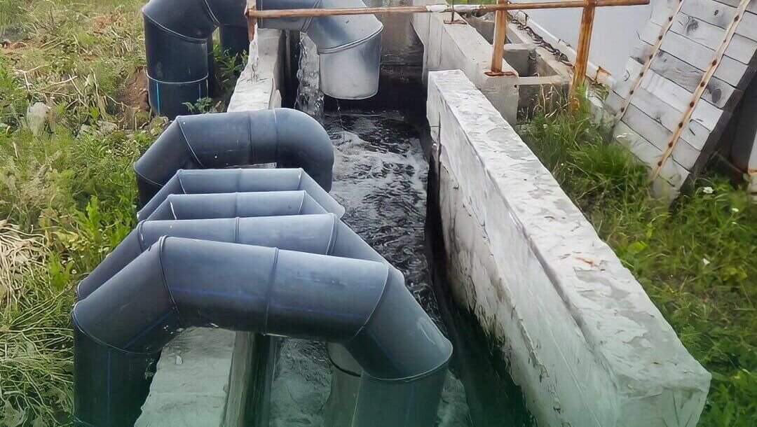     Росприроднадзор проведет маштабную проверку реки Дон, на грязнение которой поступают жалобы, сообщила в Telegram-канал глава ведомства Светлана Радионова.