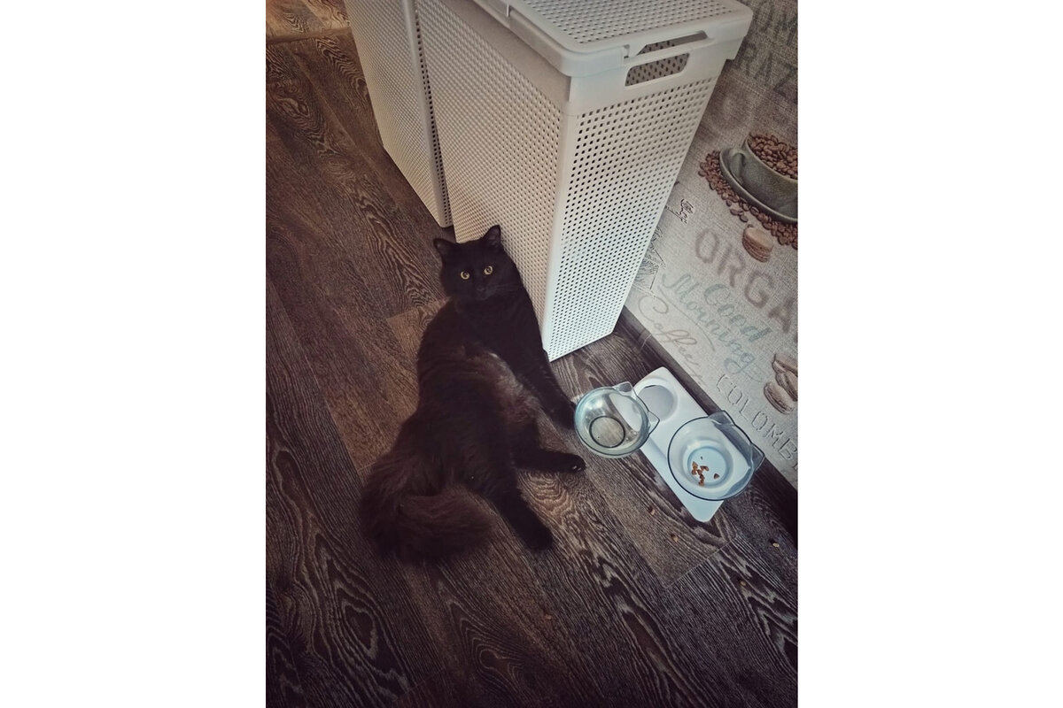 «Еду вот сюда положи» 