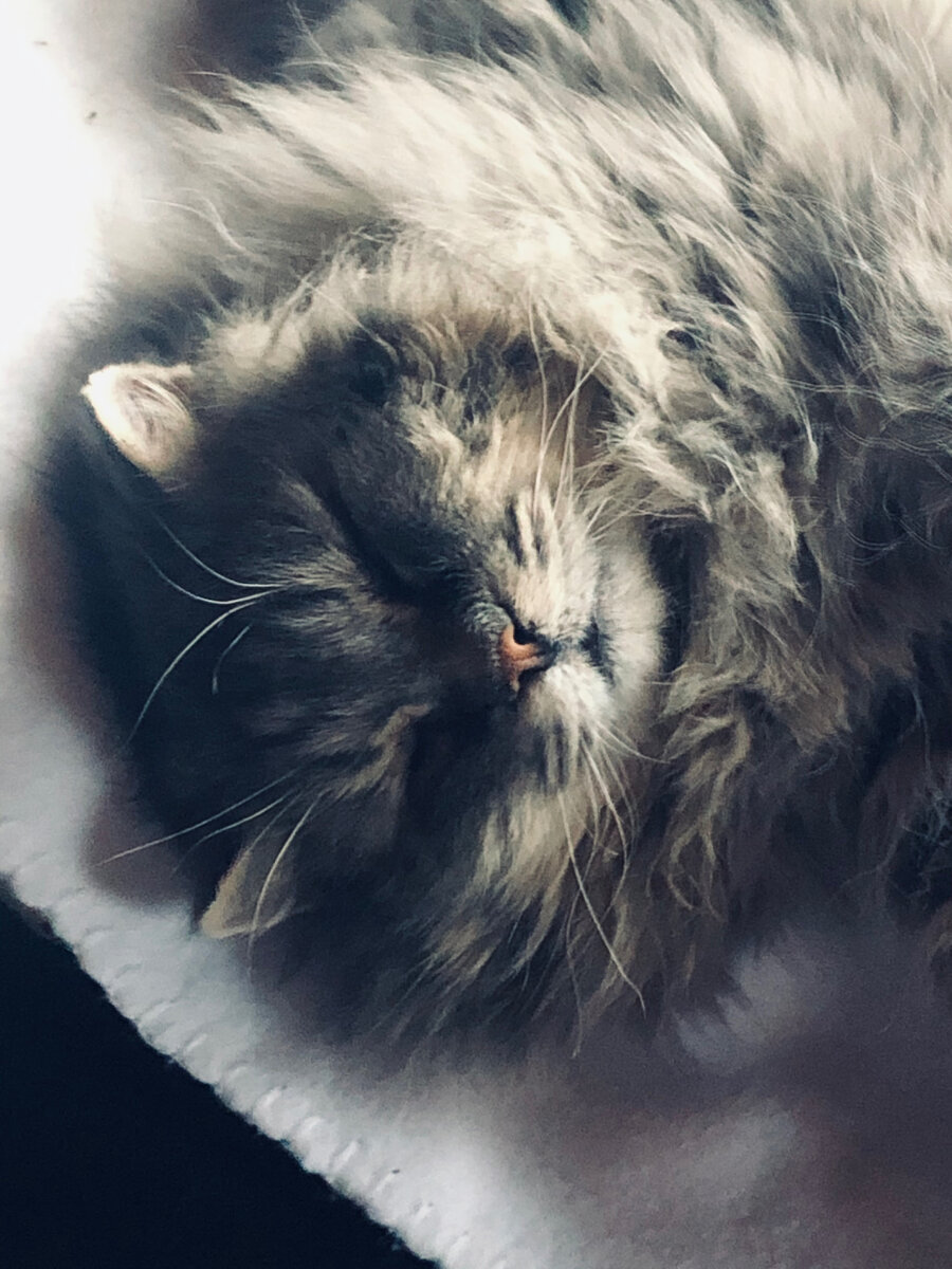 Филя притомился.