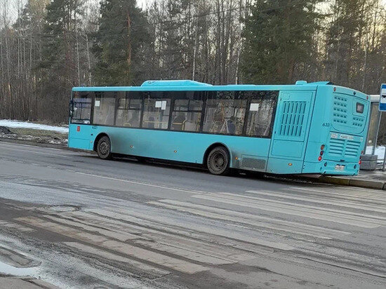 ФОТО: «МК В ИВАНОВО»