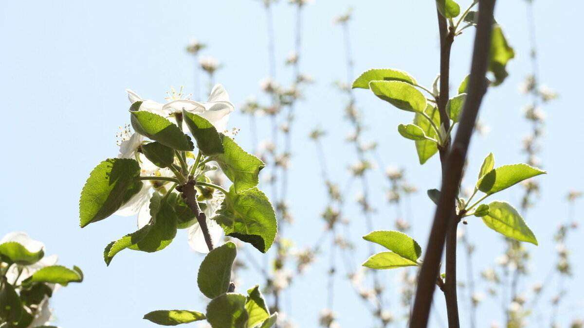     В Ростове в четверг, 20 апреля, власти объявили о полном завершении отопительного сезона 2022-2023 года, об этом сообщили в городской администрации.