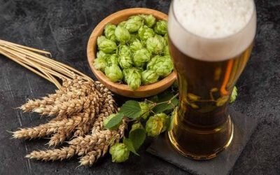 [caption id="" align="aligncenter" width="800"] пиво[/caption]