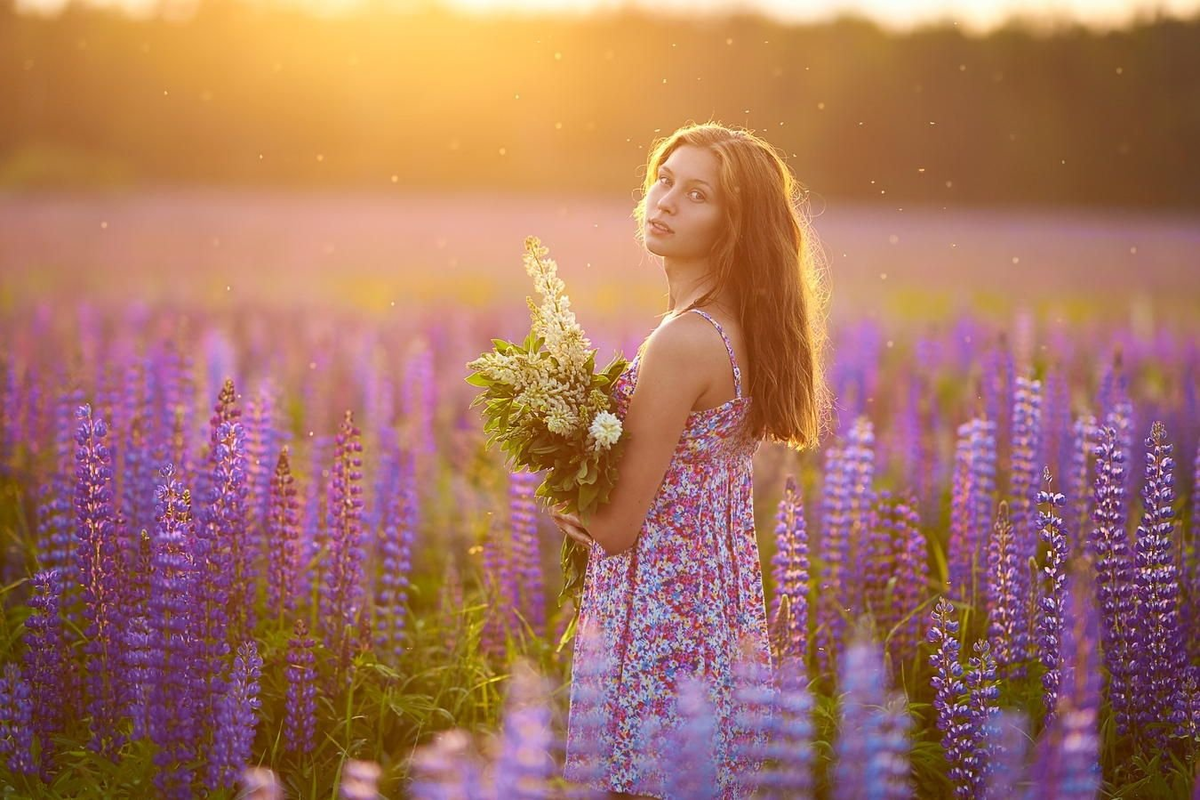 Фото из открытых источников Яндекс