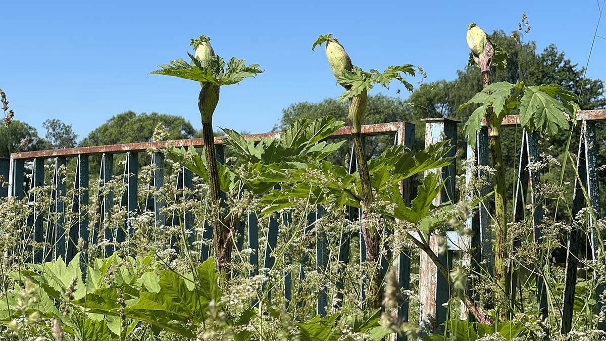    Фото: Вечерняя Москва