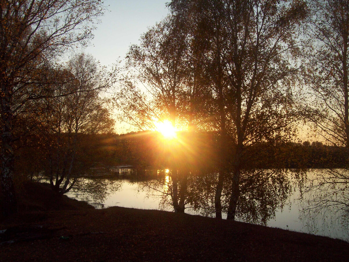 Алтайский край, село Налобиха