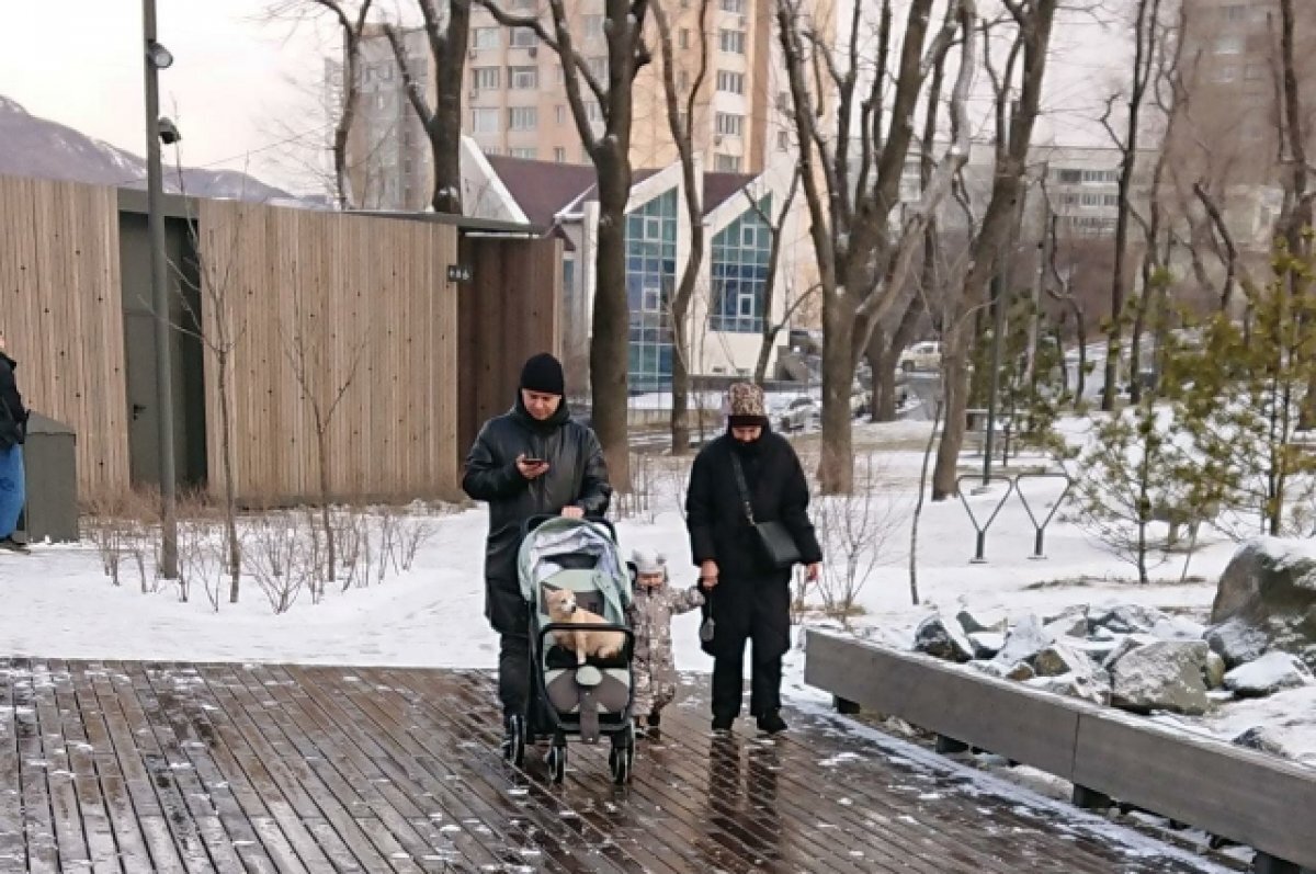    Более 200 ямальских семей направили маткапитал на образование детей