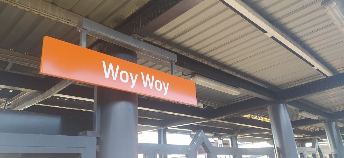 Табличка на железнодорожной станции Вой-Вой. Почему-то здесь они на всех станциях рыженькие.